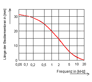 Darstellung Amplitudenmaxima auf der Basilarmembran in Abhngigkeit der anregenden Frequenz